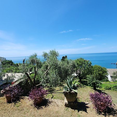 Apartment Ulcinj Ngoại thất bức ảnh