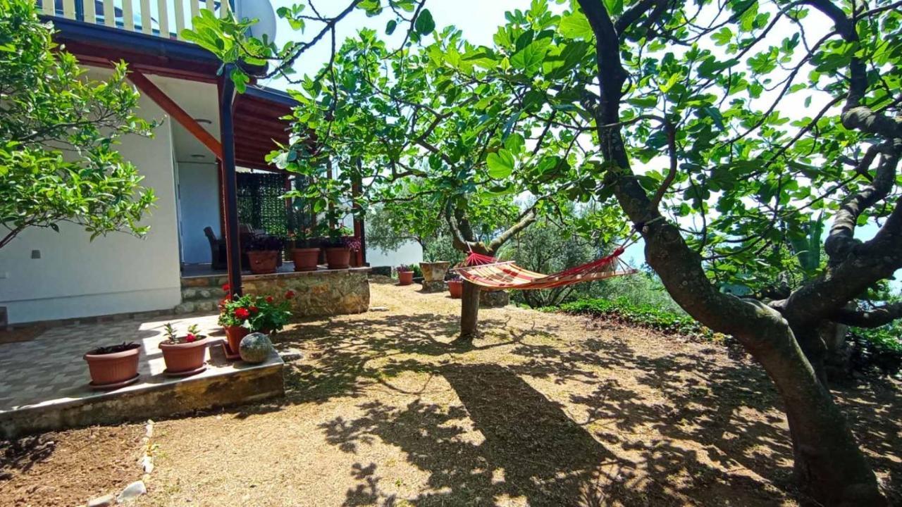 Apartment Ulcinj Ngoại thất bức ảnh