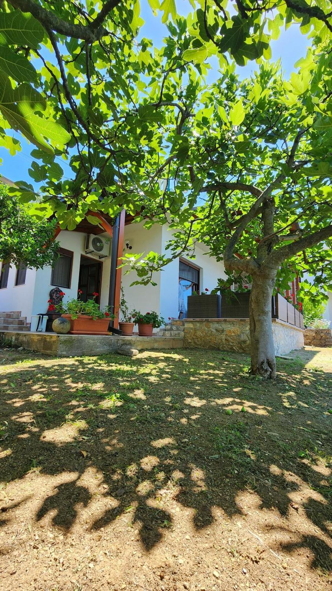 Apartment Ulcinj Ngoại thất bức ảnh