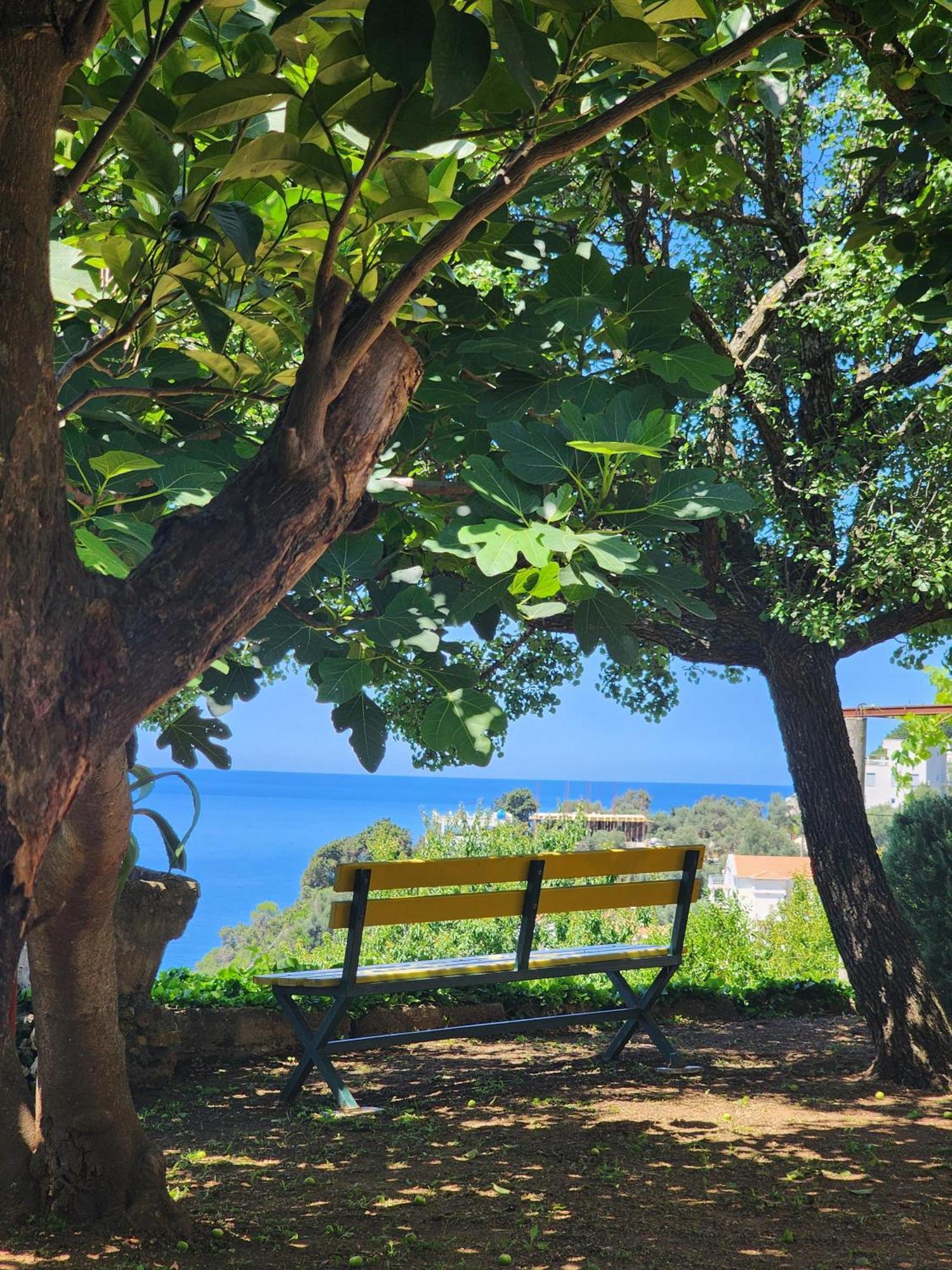 Apartment Ulcinj Ngoại thất bức ảnh